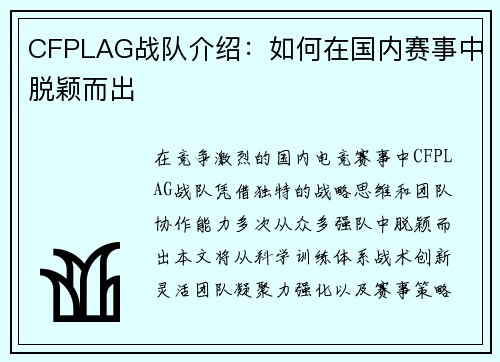 CFPLAG战队介绍：如何在国内赛事中脱颖而出